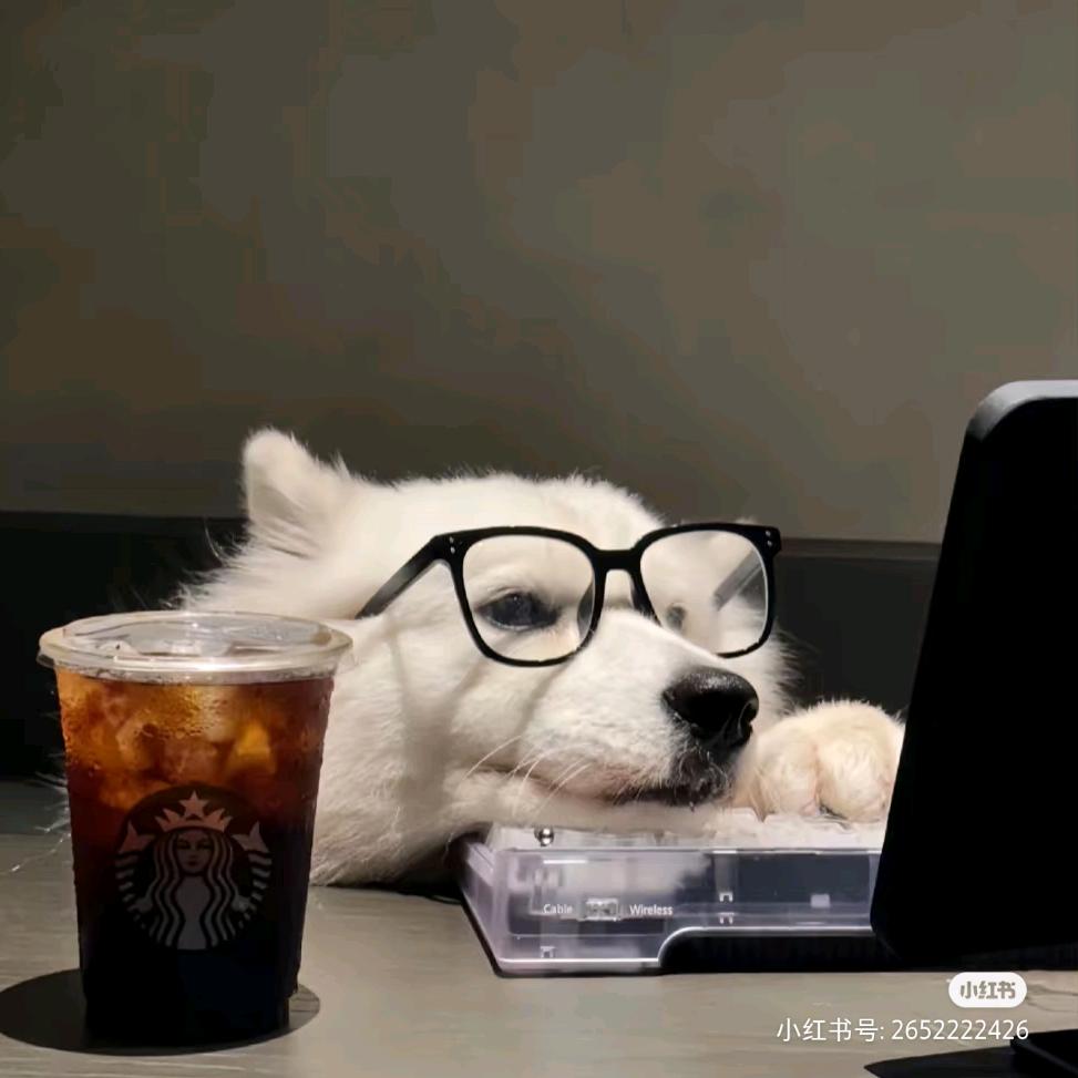 天天🐎（考研版）