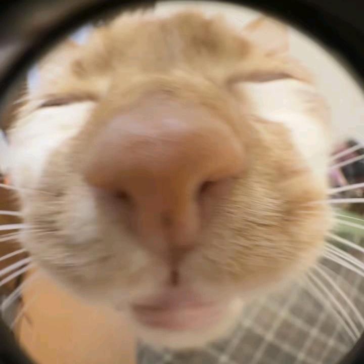 开麦打游戏被顺着网线找到打成折叠屏