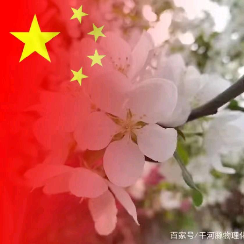 满园春豫剧团🌸薛强强
