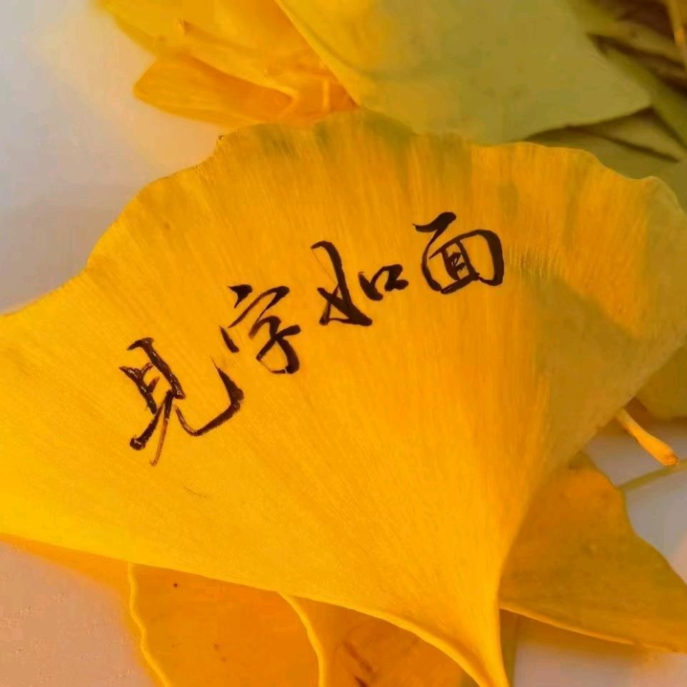 妙笔贝贝规范字书写培育中心官方号