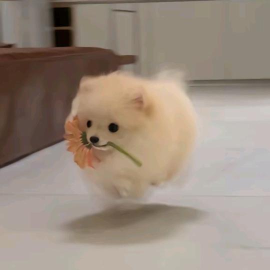 睡大觉ψ(｀∇´)ψ！