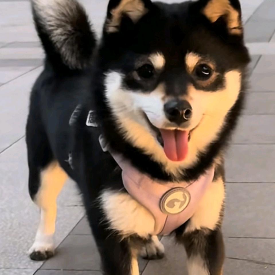 抖音、左手