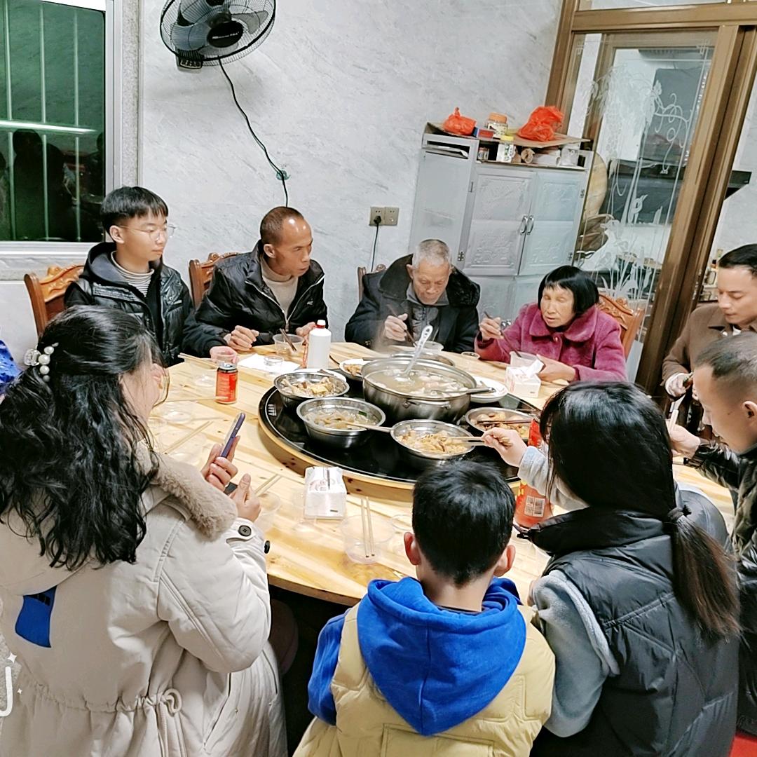 丫头优品猫
