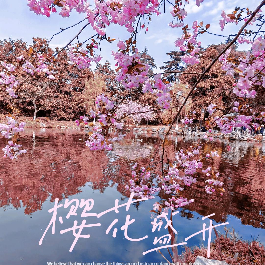 旅游在中国