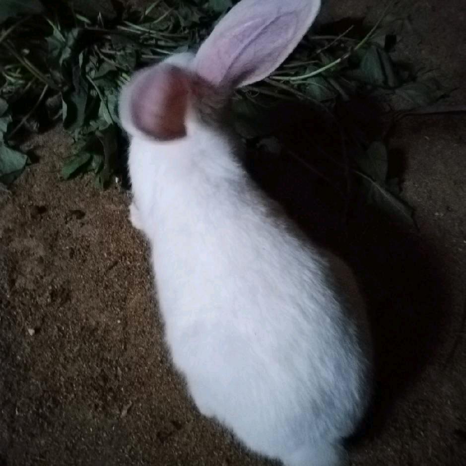 ~凌晨不睡~六点半睡