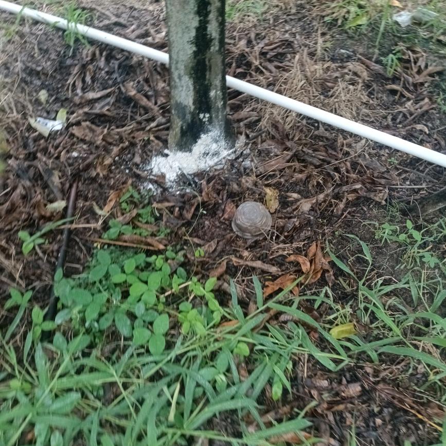 我只爱你一个