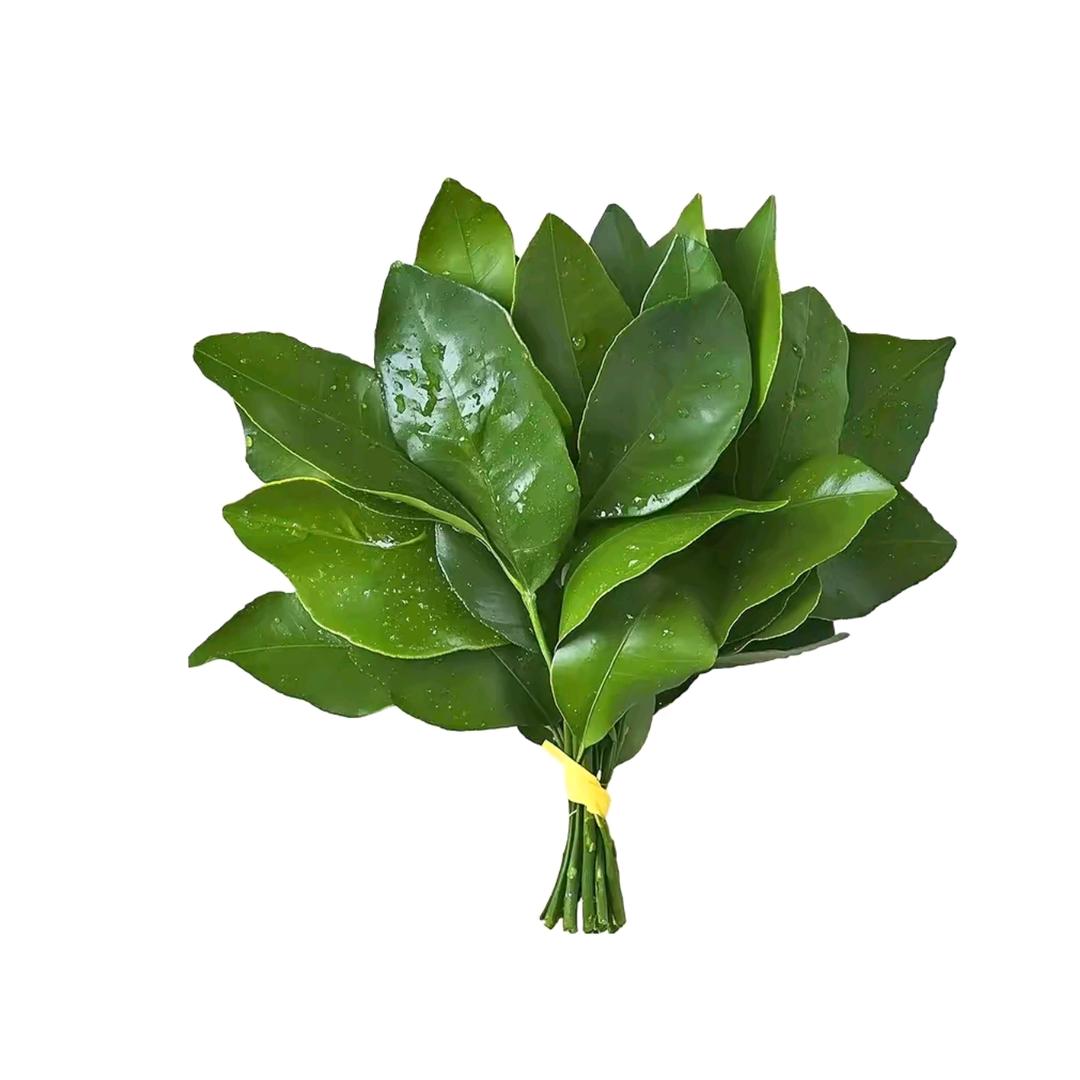你莫搭匍爬哟