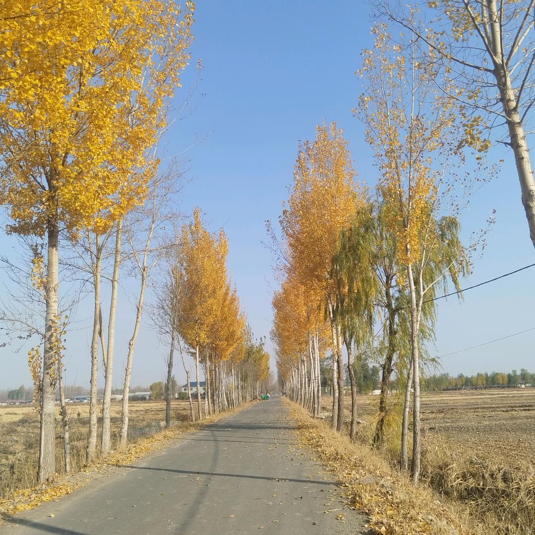 荒村一叟