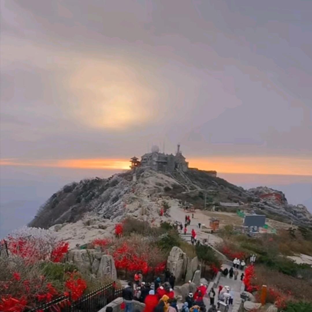 “可乐”
