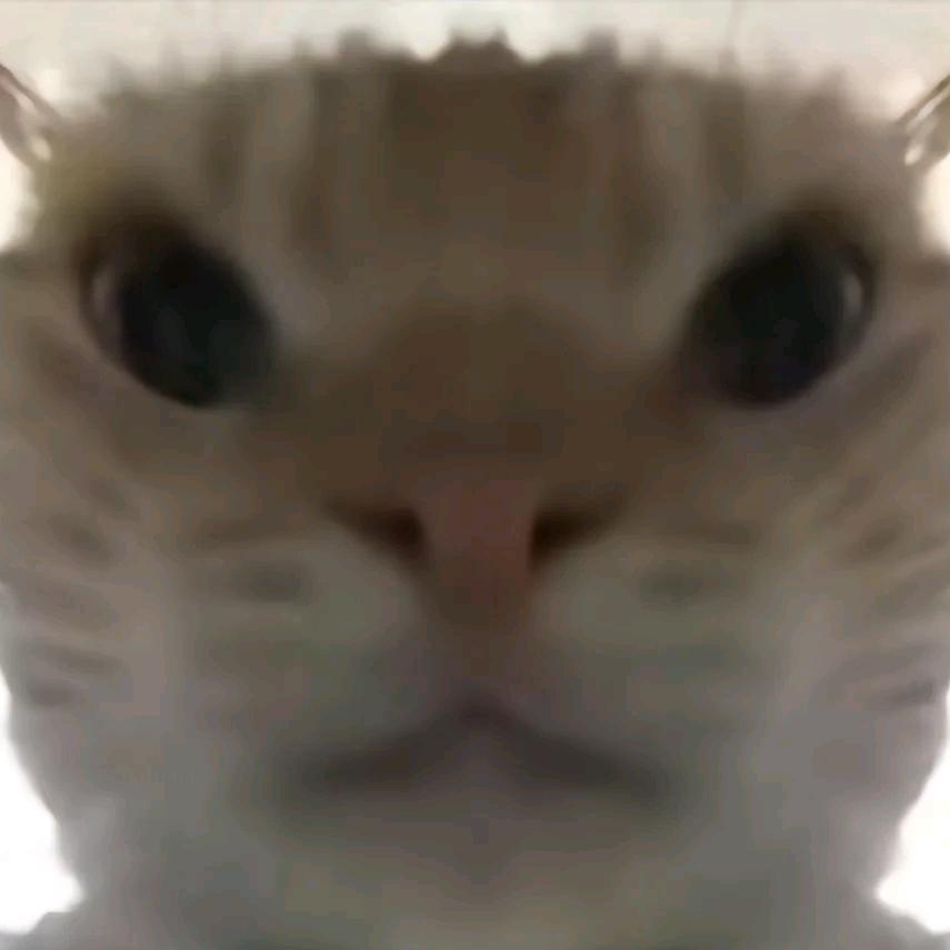 白孤影