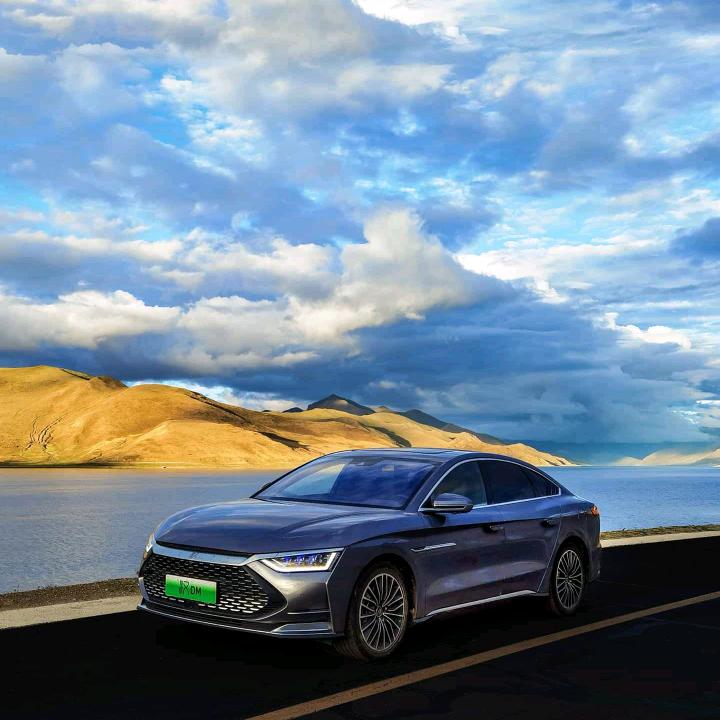 优信二手车走心小猪头