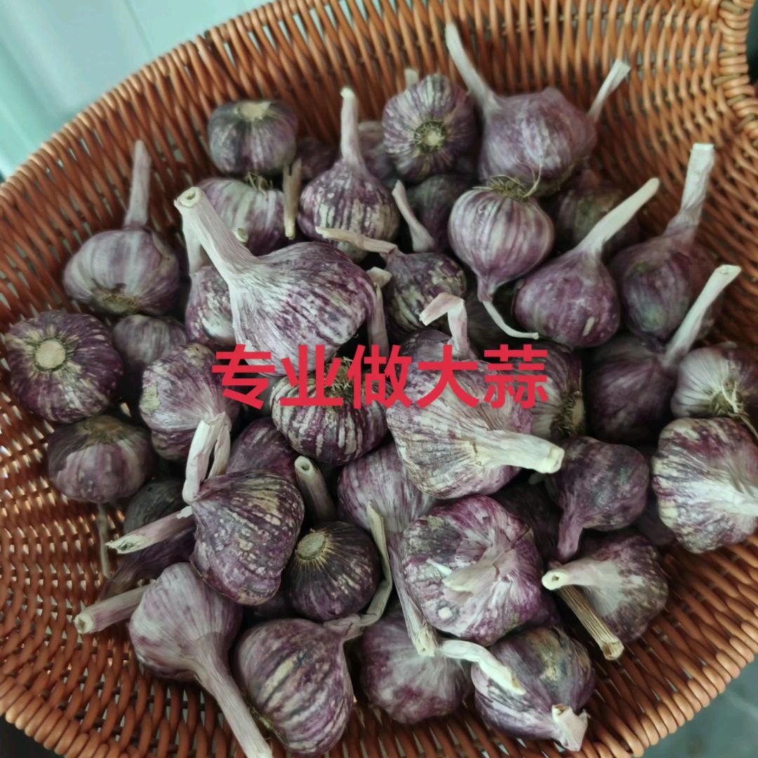 中牟县彦超种植专业合作社