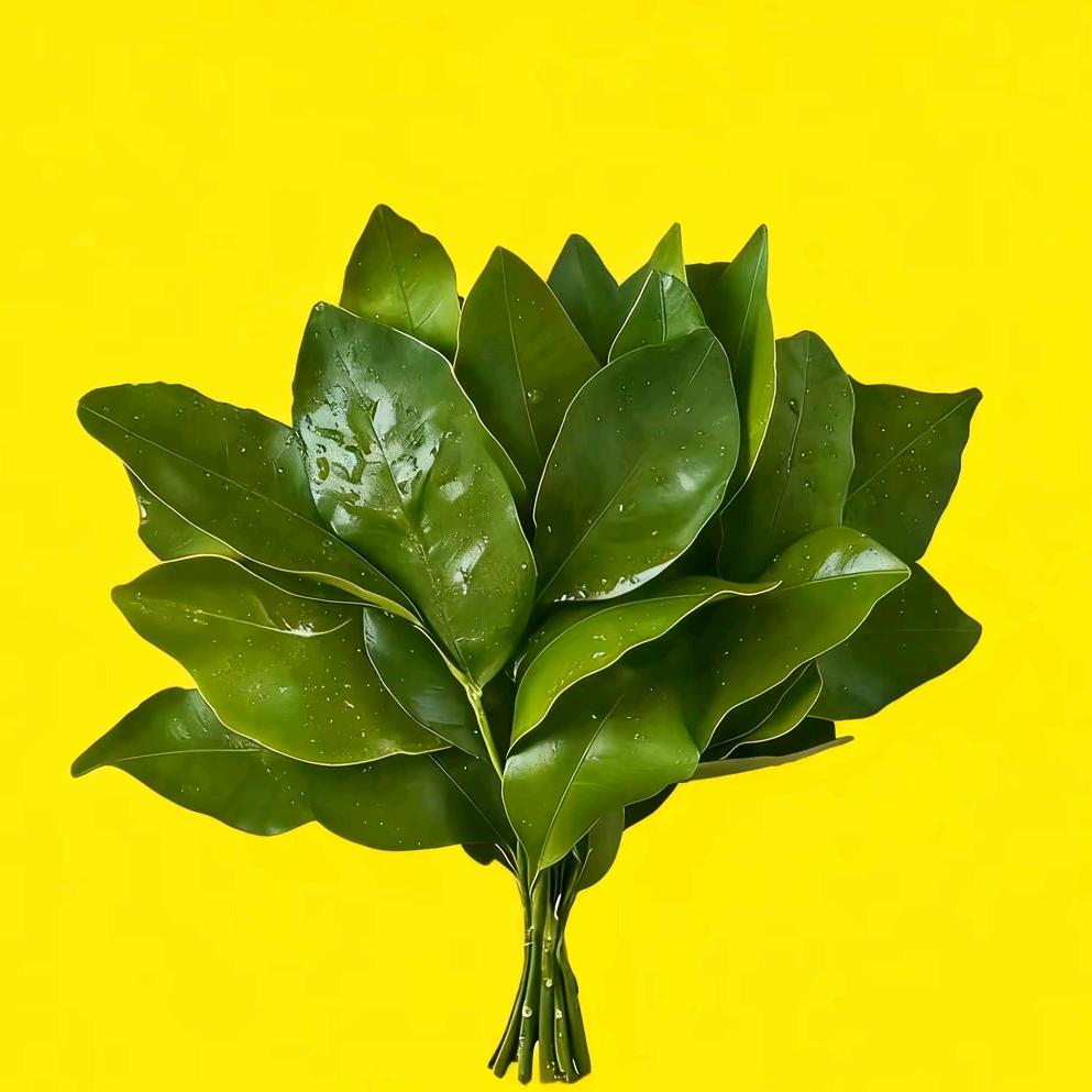花开富贵/