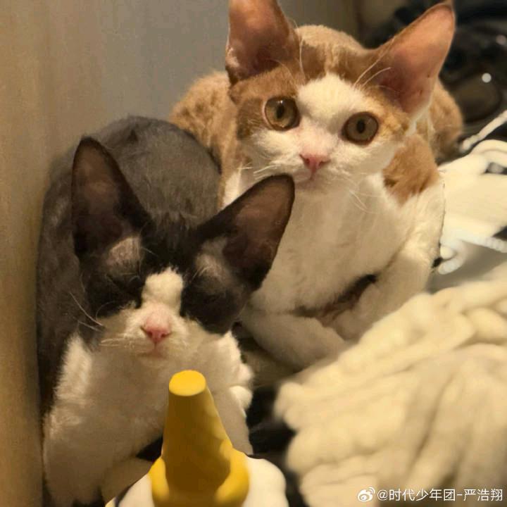玖玖⁹
