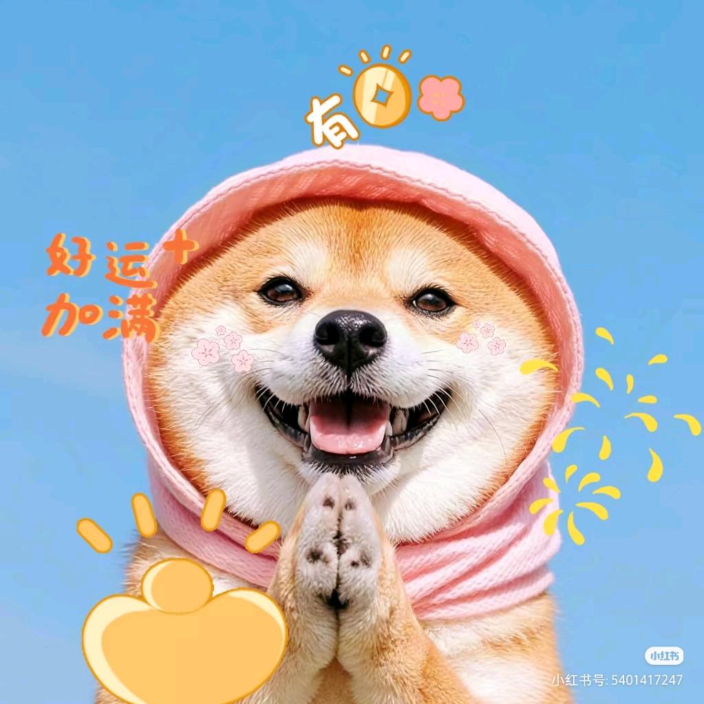小甜爱分享