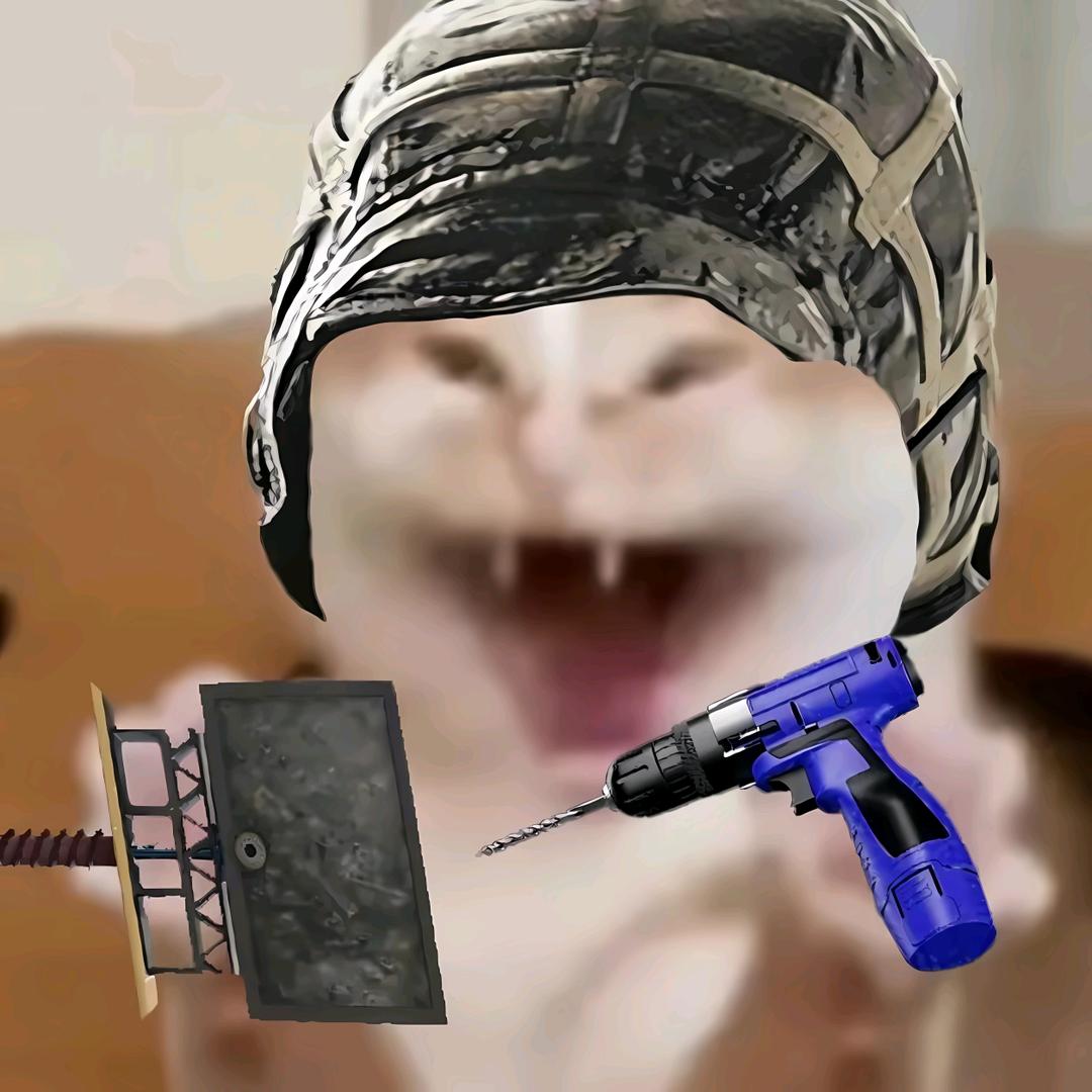 紫铜常驻民阿菜