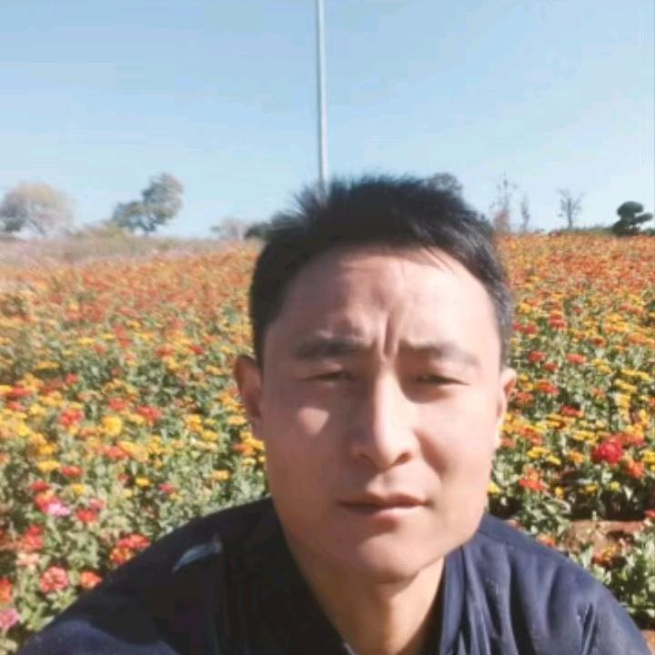 鑫林炉具厂