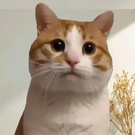 呜呼啦呼节奏h