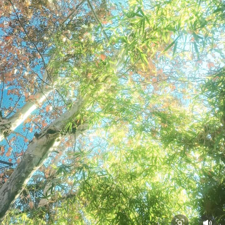 爱跳舞的老邵头像