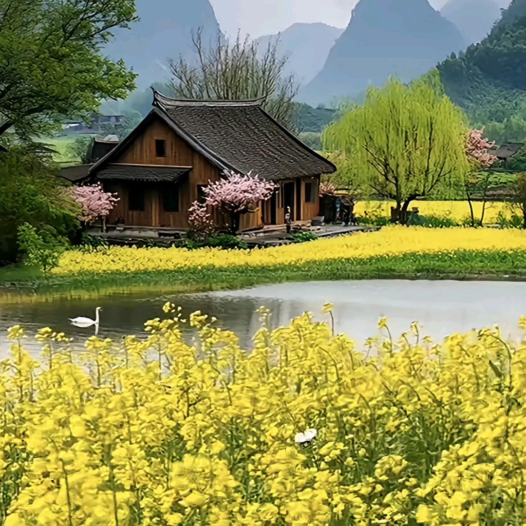 一生合求