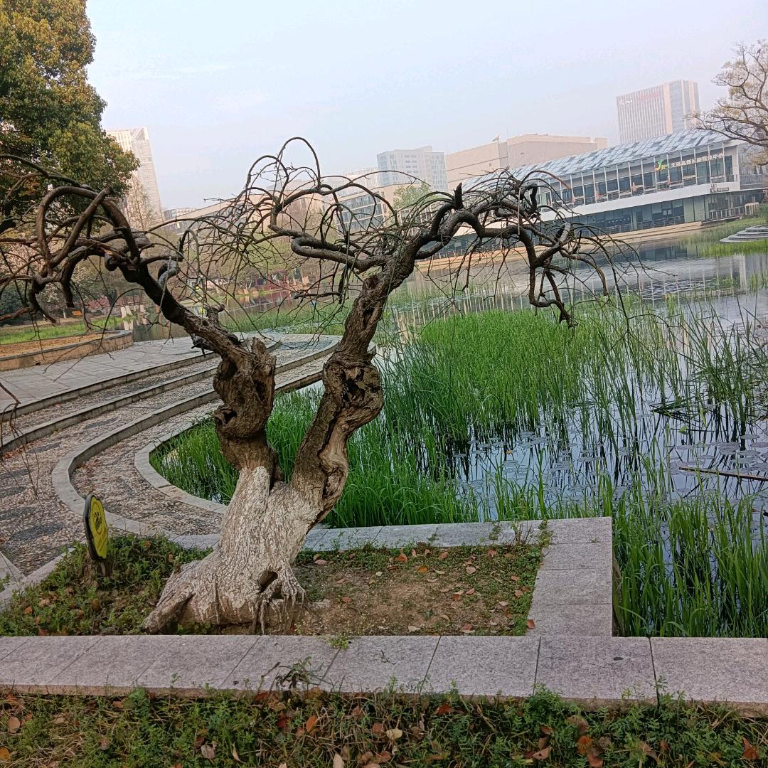 拒绝聊天