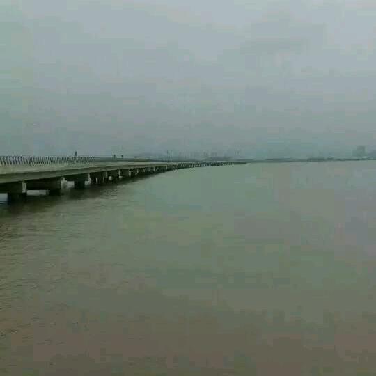 浪子回头金不换