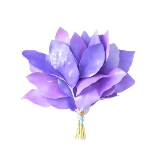 捻枝