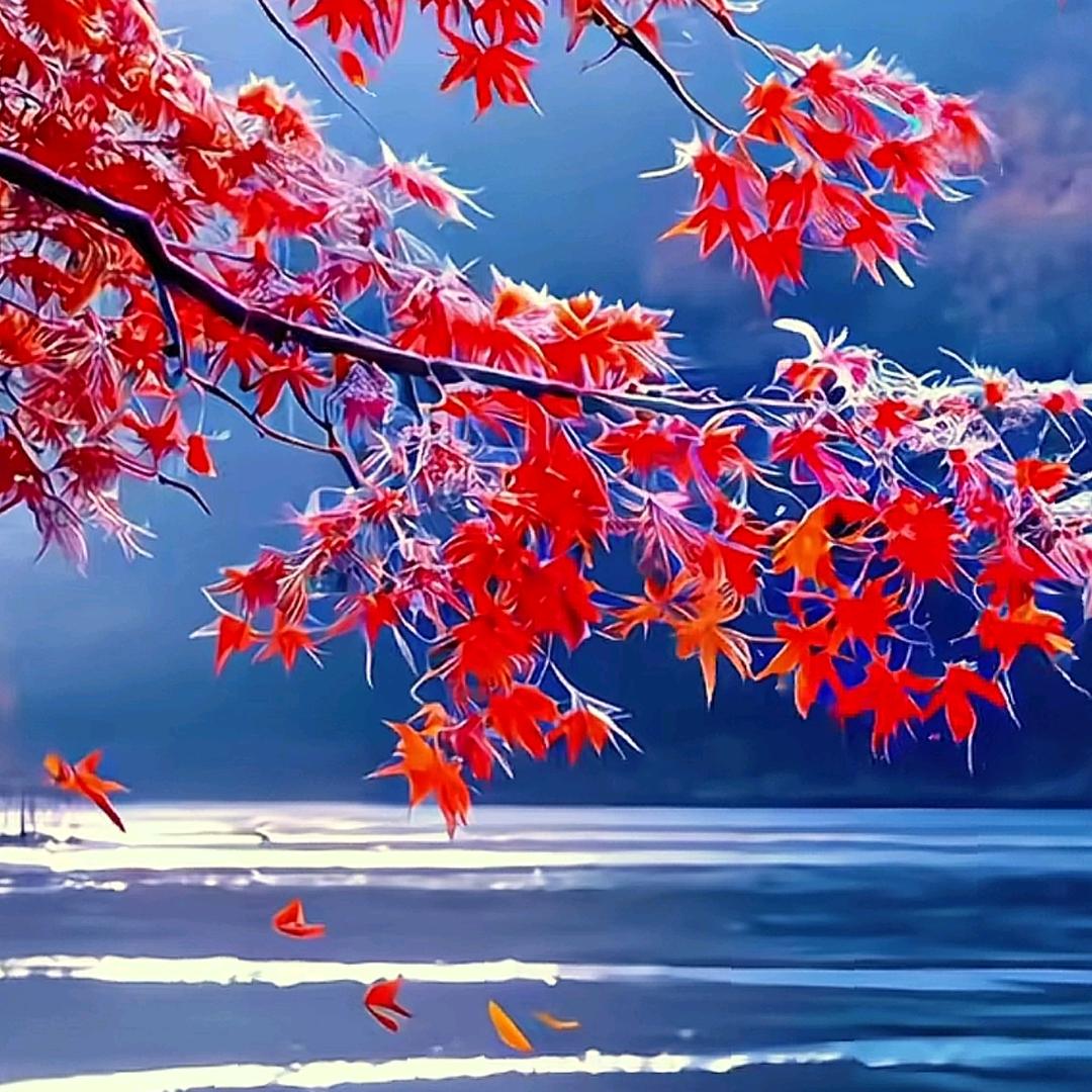 痴情反被无情伤