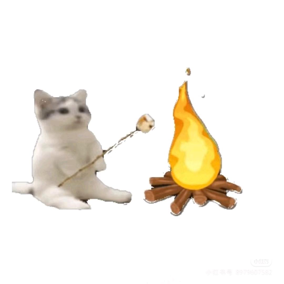 果盘大王