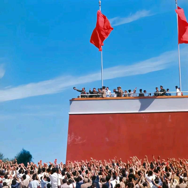 近猪者吃☭