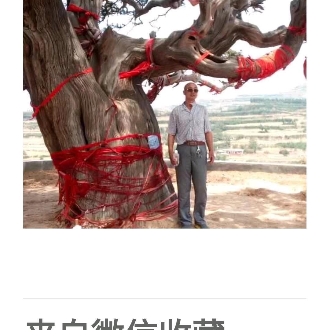 用户76539825