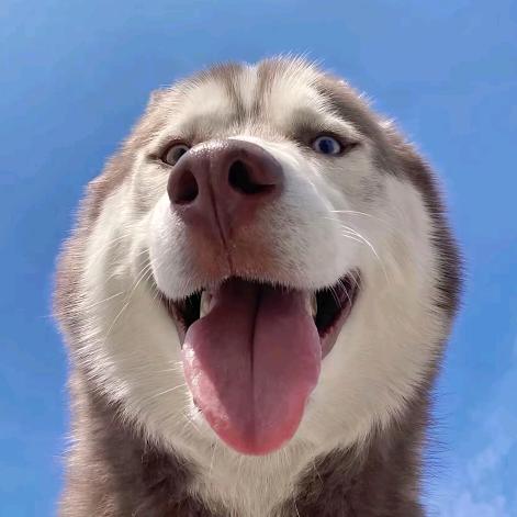 李导不吃姜    等2.0万人