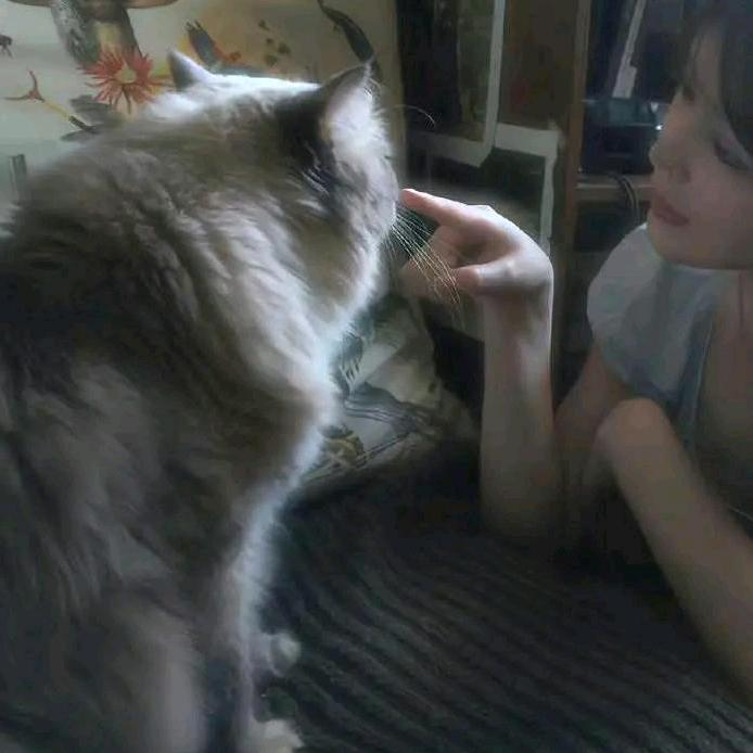 吃饭的时候不饿