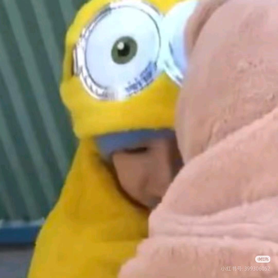 月亮心记(被WayV看到应援版)