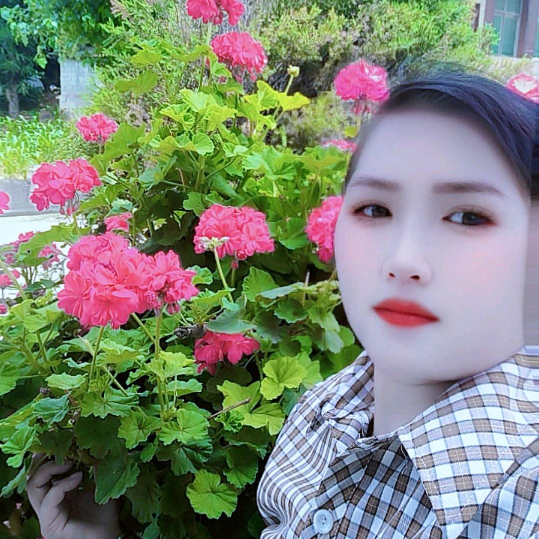 有缘来会