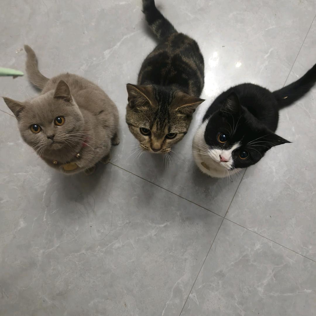 ꧔ꦿ᭄💞杨꧔ꦿ࿐้