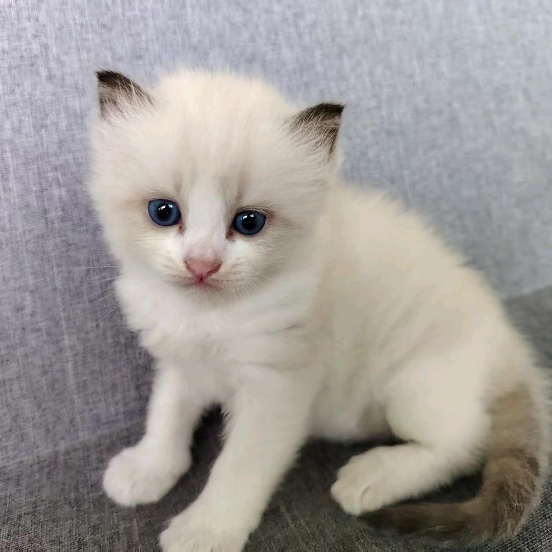 ¤¢在你"～心田」 や