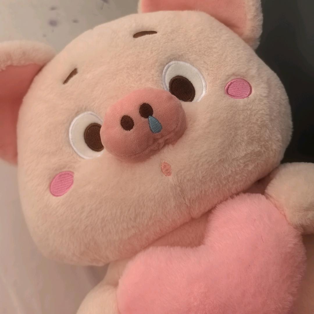 诠释淡然