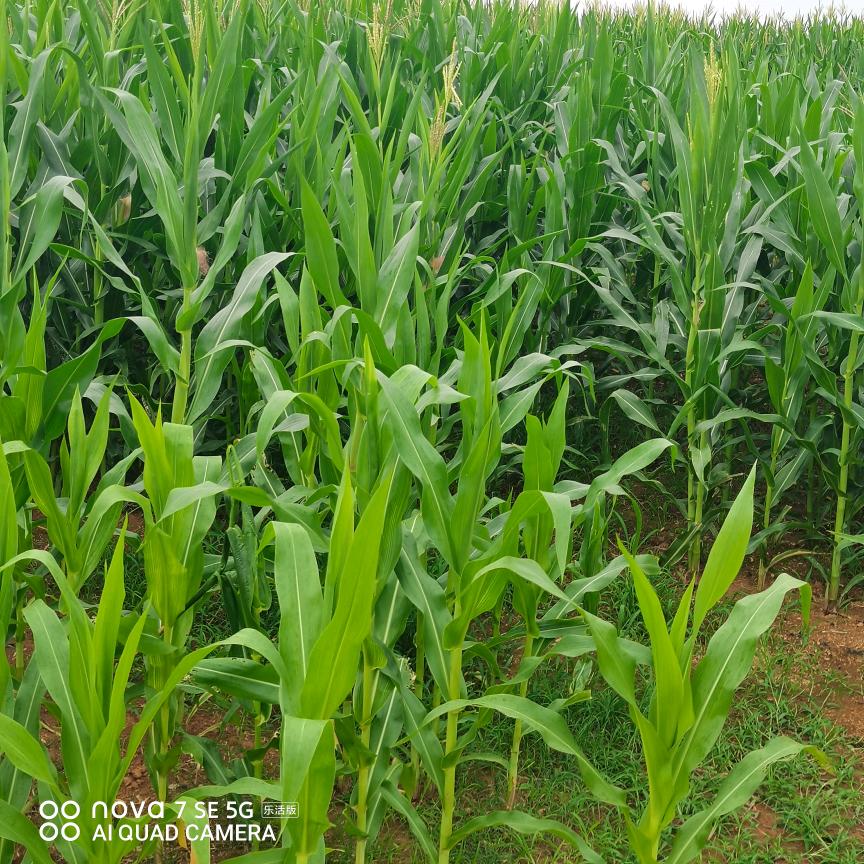 硕杰电脑数码配件店