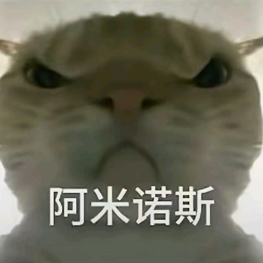 妄言
