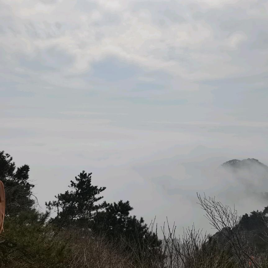葫芦岛春姐