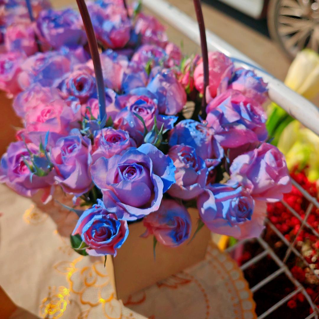 捞月亮🌙的丫头