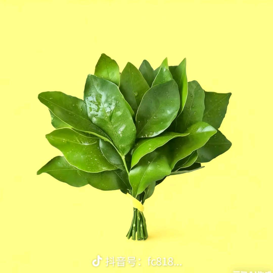 执 行官