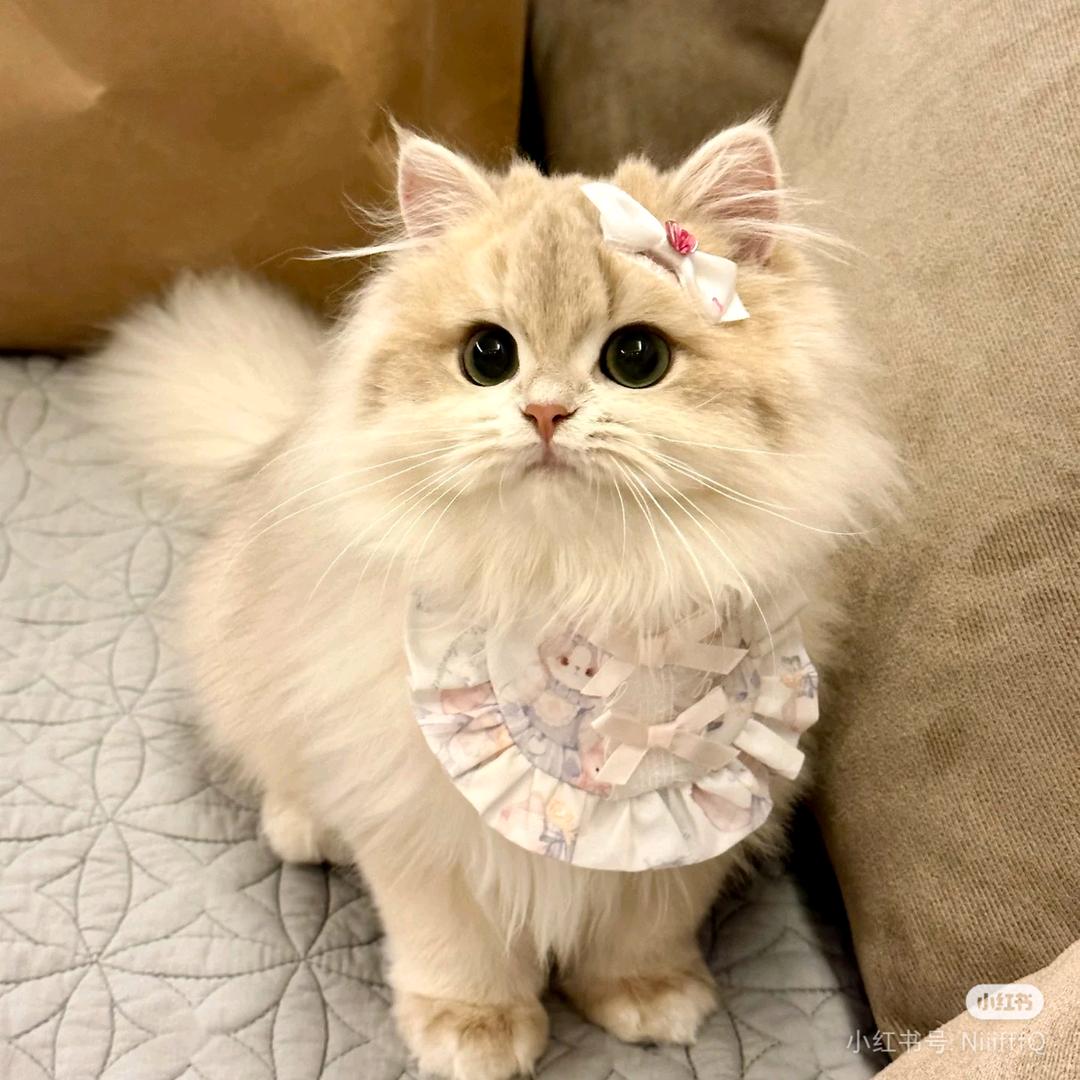 拾光向暖😺
