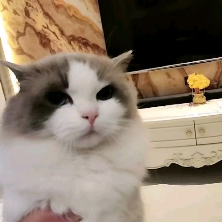 永卟言败