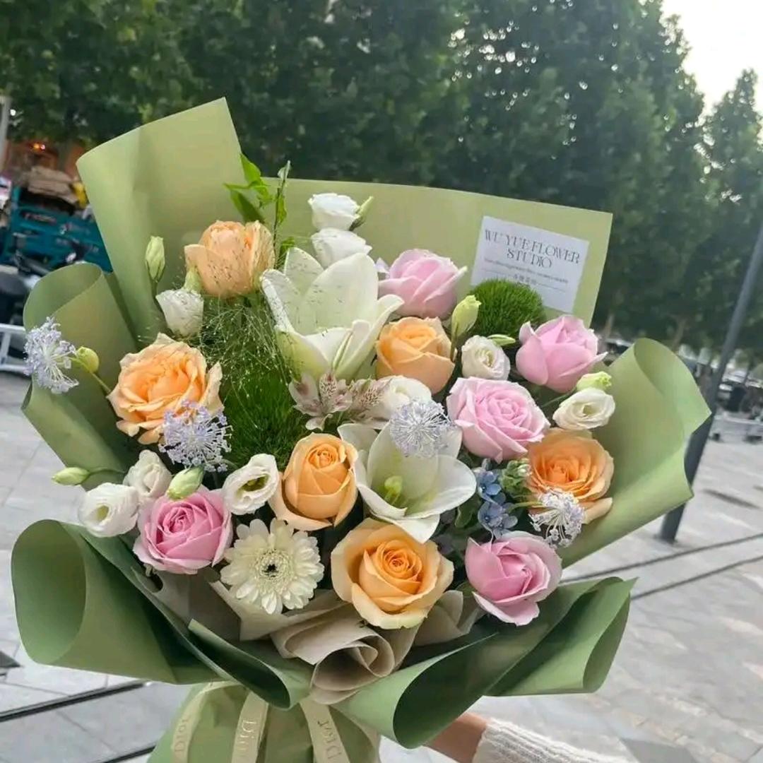 🍀叶紫🍀