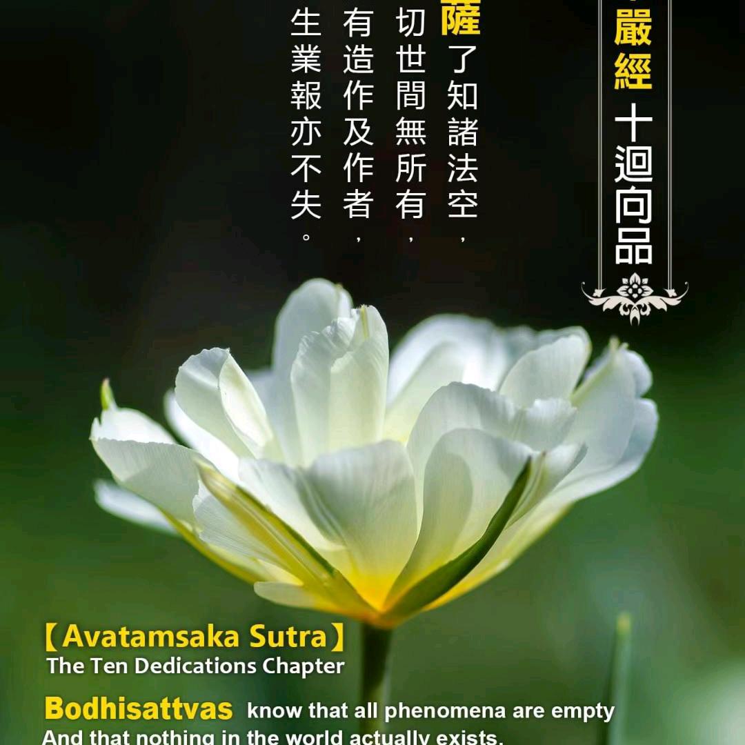 智慧之光