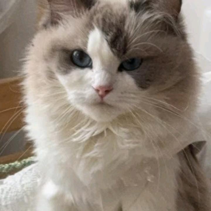 龚顺