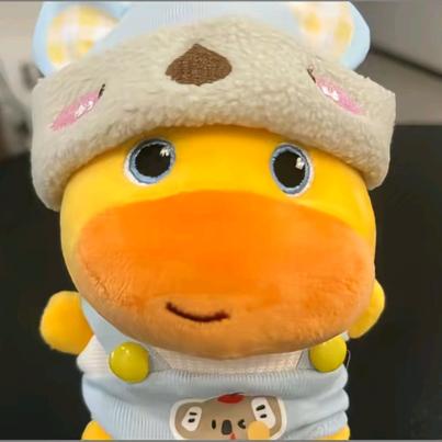 让花成花，让树成树