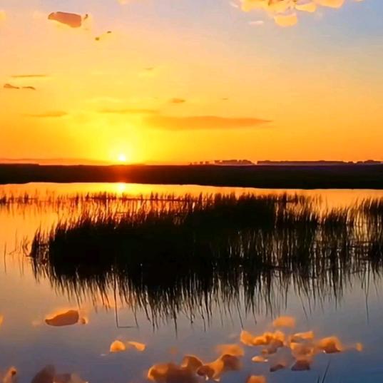 山东博沃建筑工程有限公司